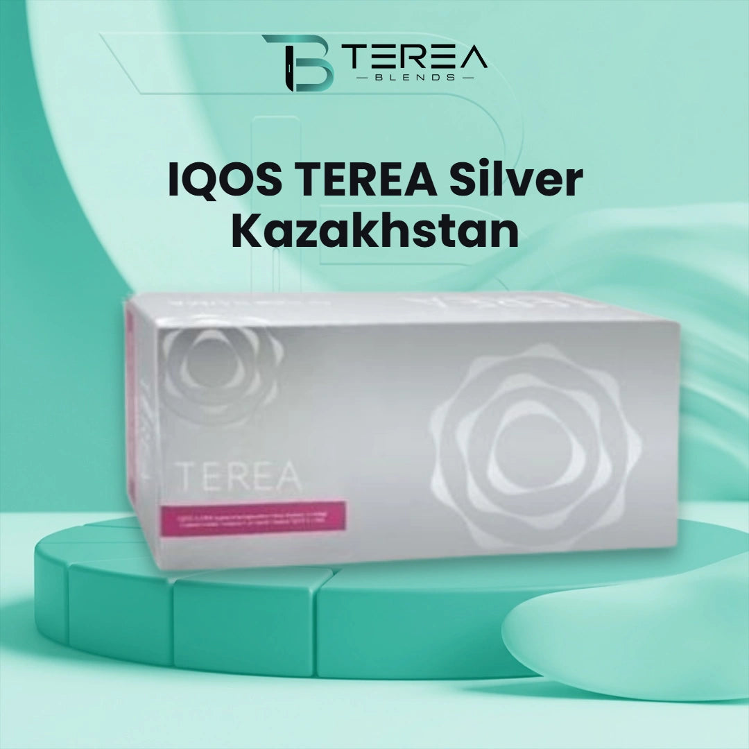 IQOS TEREA Silver Kazakhstan pack and carton of heat-not-burn tobacco sticks for IQOS ILUMA