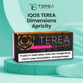 IQOS TEREA Dimensions Apricity Indonesian Stick in Dubai