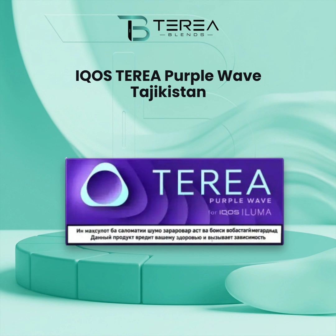 TEREA Purple Wave Tajikistan pack with forest berry and menthol flavor