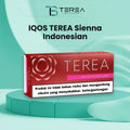 TEREA Sienna Indonesian pack of 20 heated tobacco sticks
