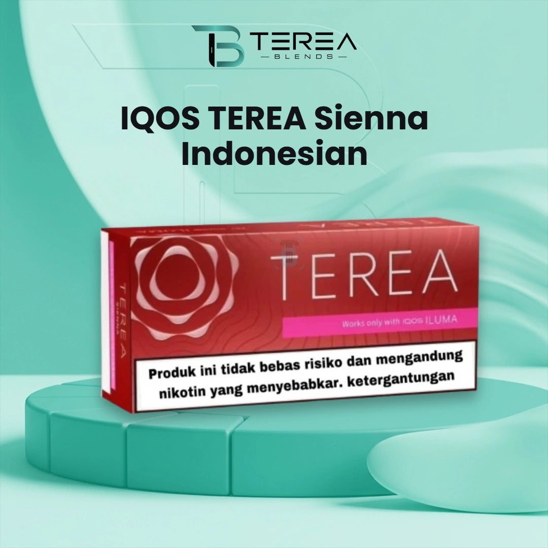 TEREA Sienna Indonesian pack of 20 heated tobacco sticks