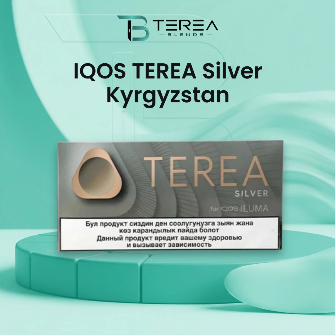 IQOS TEREA Silver Kyrgyzstan with smooth toasted tobacco notes and subtle herbal and spicy undertones available in the UAE